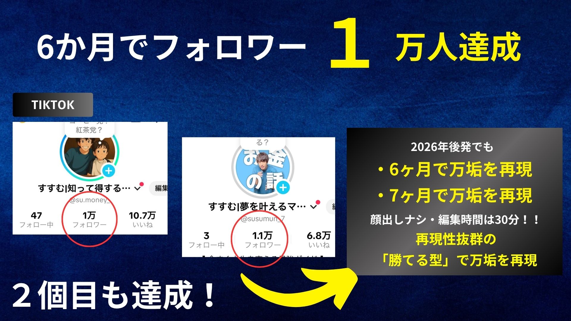 個人TikTok実績